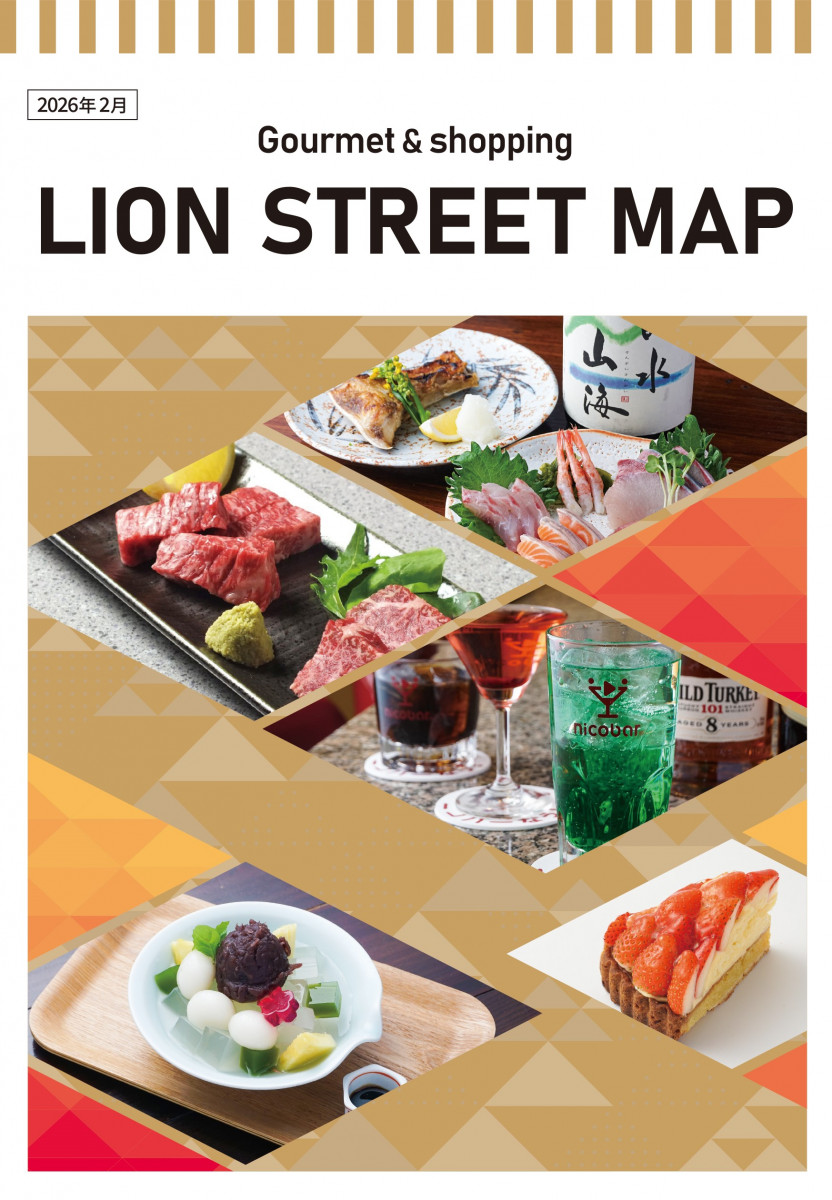 LION STREET MAP